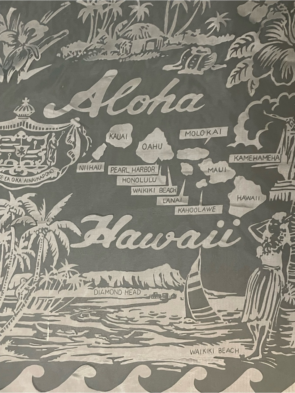 Vintage 50s 60s Hawaii Souvenir Sheer Scarf 26 In Excellent Condition Light Blue